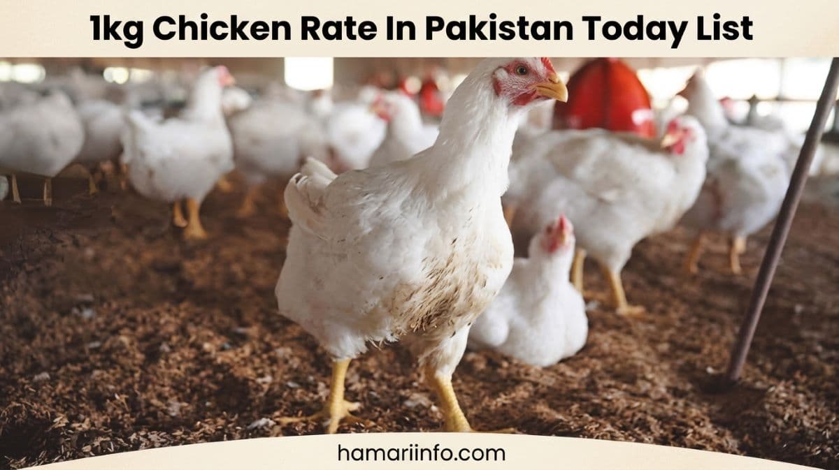 Chicken Rate